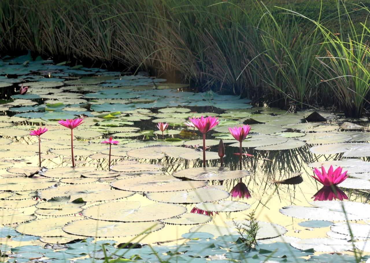 Niraamaya Wellness Retreats Backwaters And Beyond Kumarakom Dış mekan fotoğraf